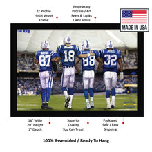 Load image into Gallery viewer, Colts Greats